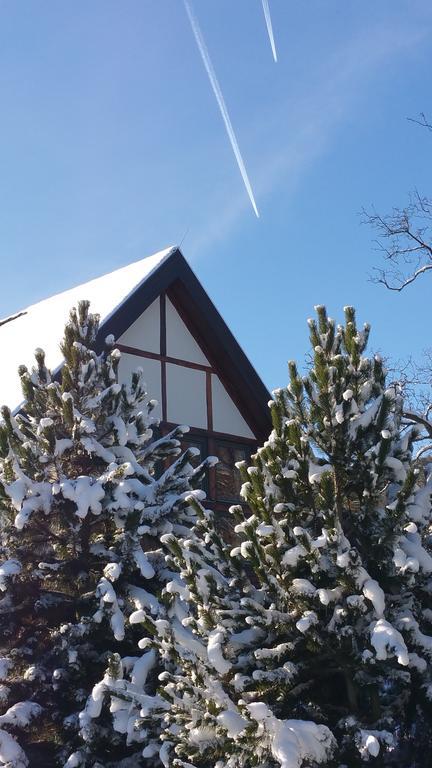 Landhaus Tonmuehle Ilsenburg Dış mekan fotoğraf