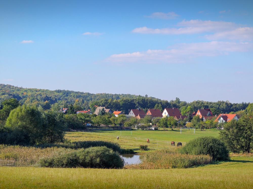 Landhaus Tonmuehle Ilsenburg Dış mekan fotoğraf